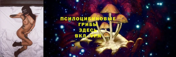дмт Беломорск