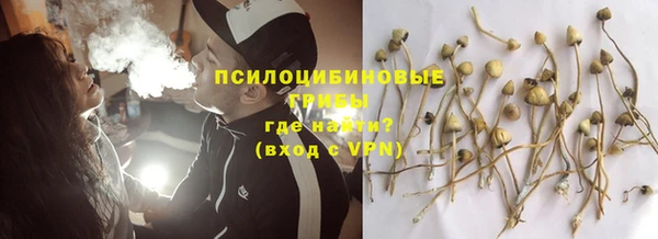 СК Белокуриха