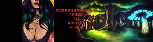 стафф Куртамыш