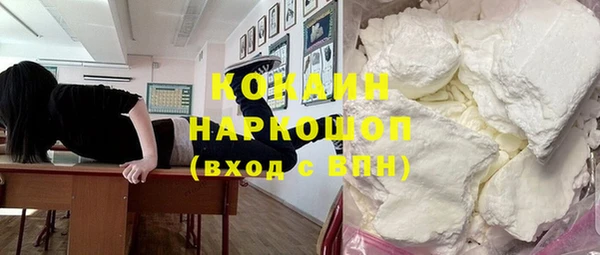 СК Белокуриха
