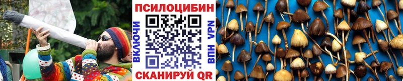Галлюциногенные грибы мухоморы Минеральные Воды