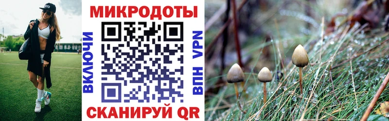 Галлюциногенные грибы Cubensis  Минеральные Воды 